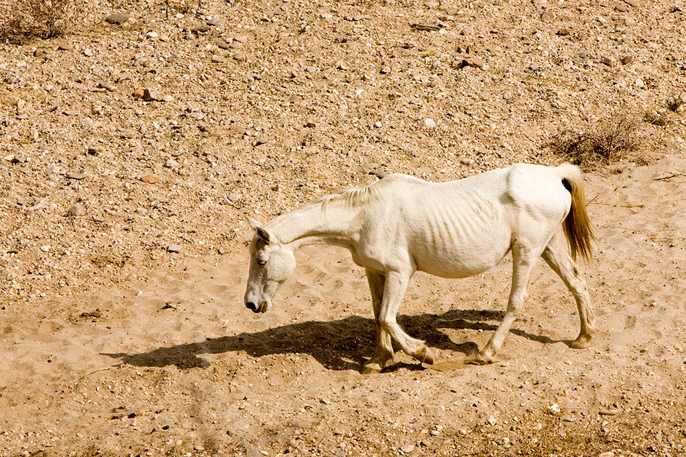 A very dry season