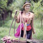 A Vietnamese woman 