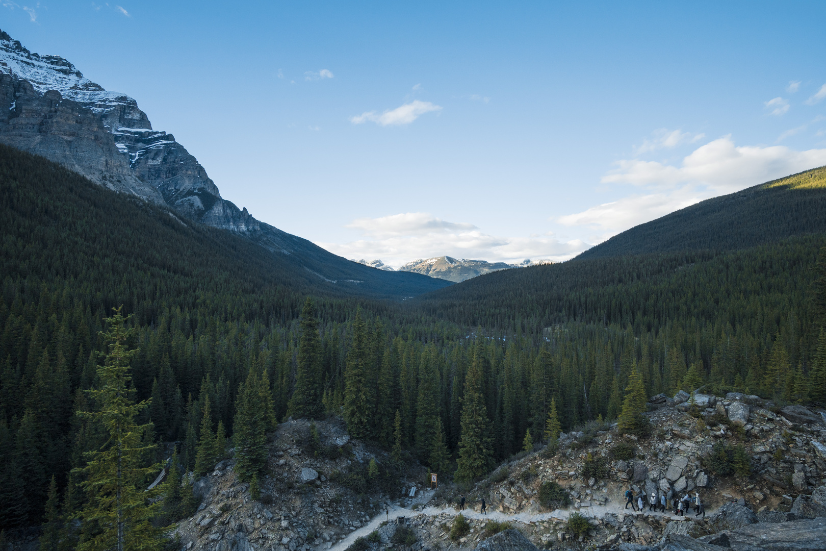 A view far over the trees.