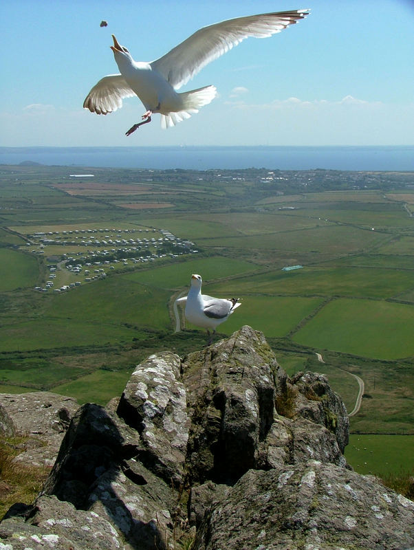 A view from St Davids