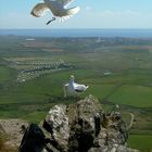 A view from St Davids