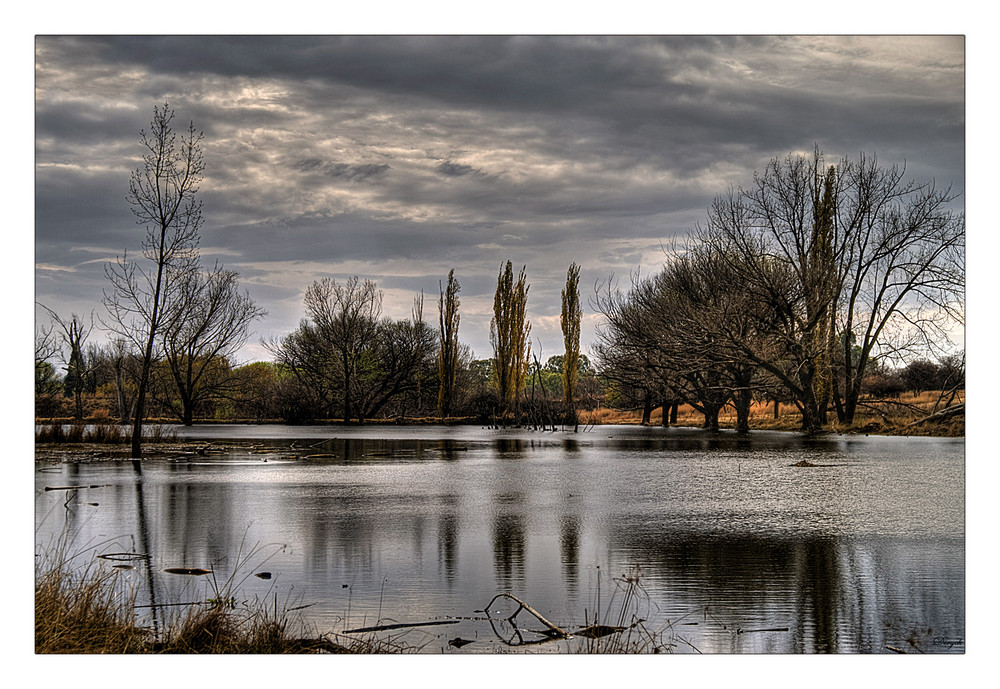 A view of the Pond 2