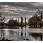 A view of the Pond 2