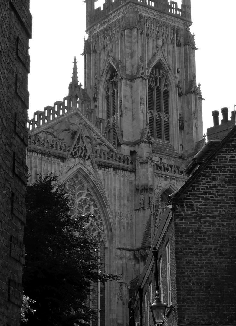 A View of York minster