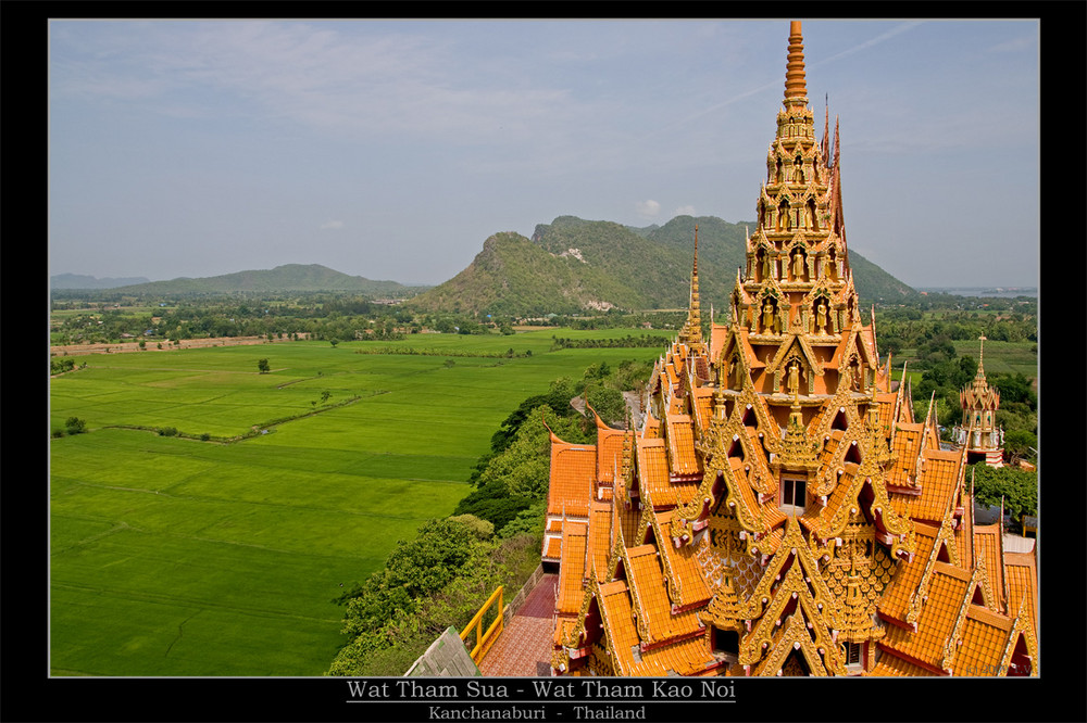 A view over rice fields