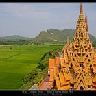 A view over rice fields