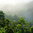 A view to the rain forest of costa rica