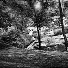 A View Toward the Falls