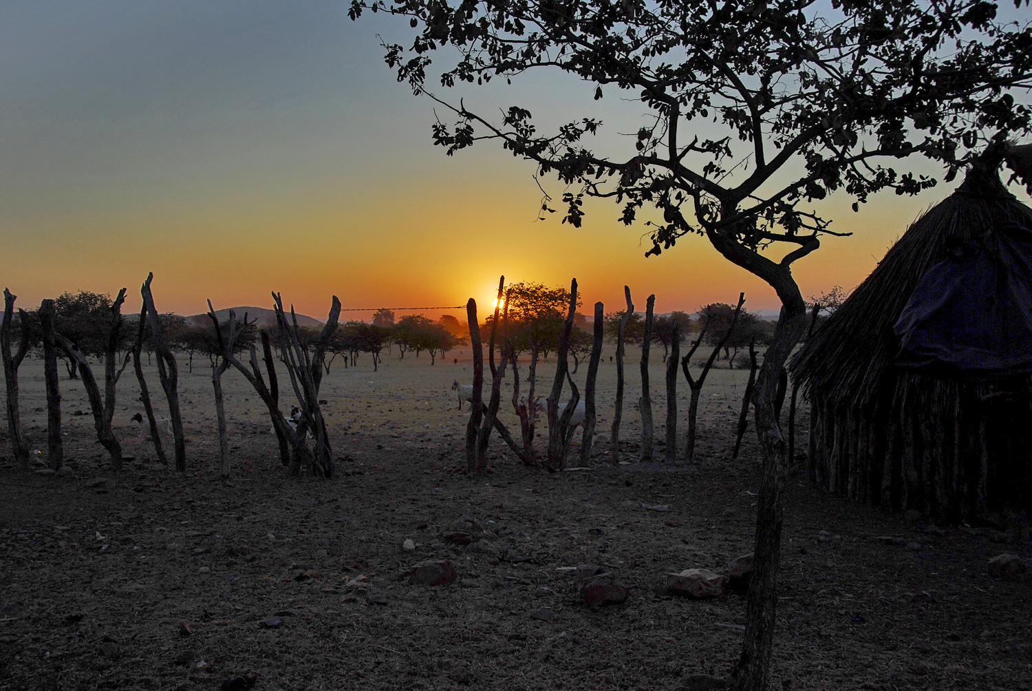 A village at sunset