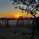 A village at sunset