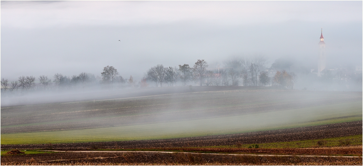 A village in the Fog