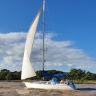 A vista de la costa.