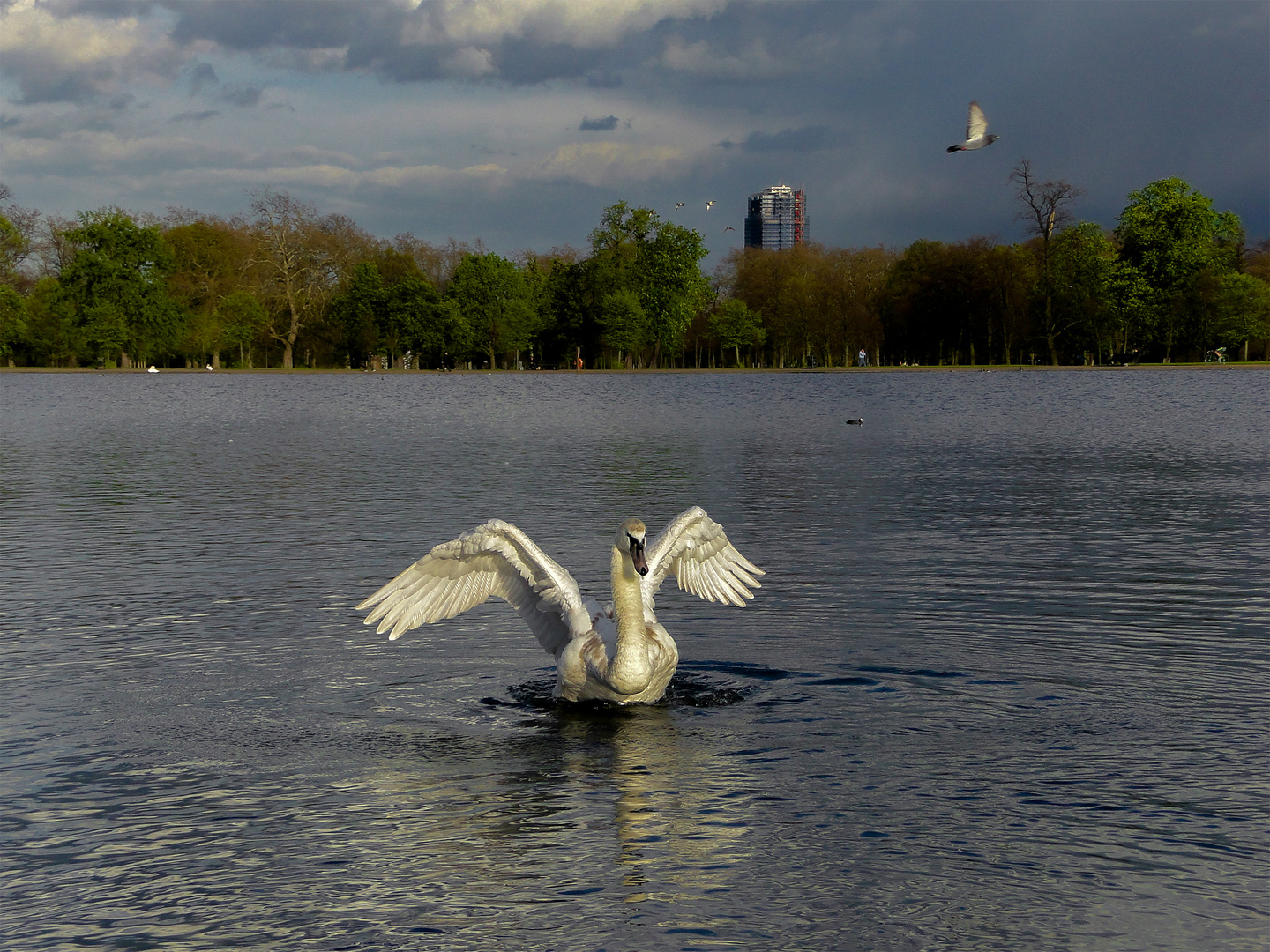 a volar - fly