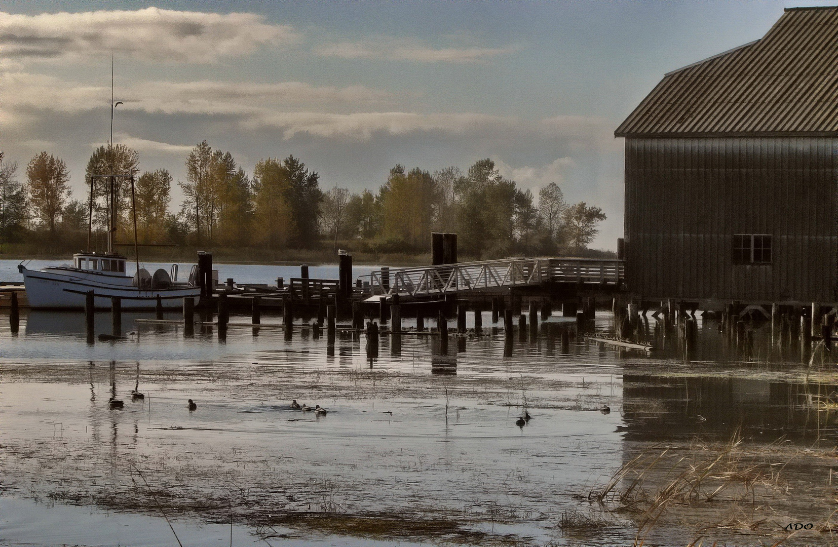 A Walk Along the Fraser River