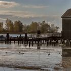 A Walk Along the Fraser River