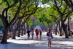 A walk along the Paseo de Martí