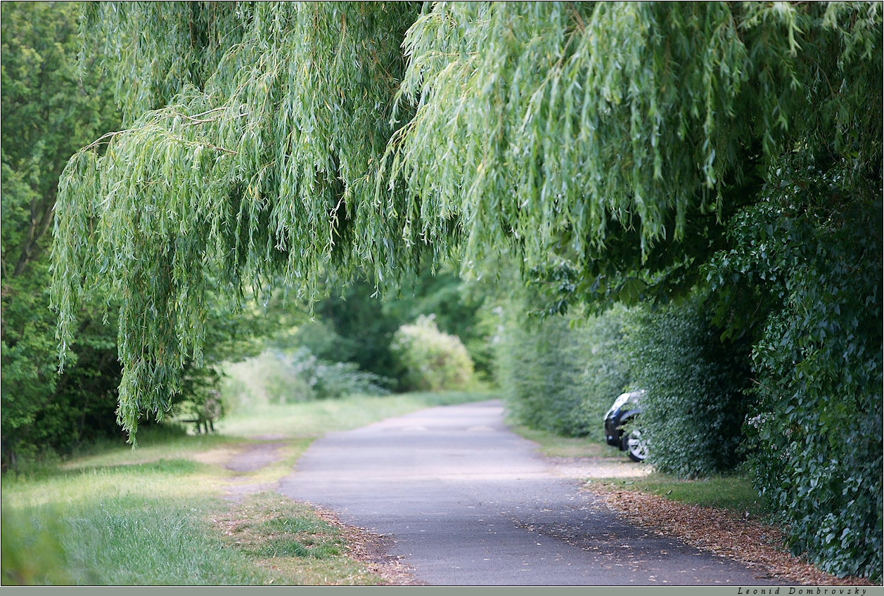 A walk along the Thames