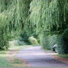 A walk along the Thames