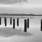 A walk at the Starnberger See March 2020 just before shutdown