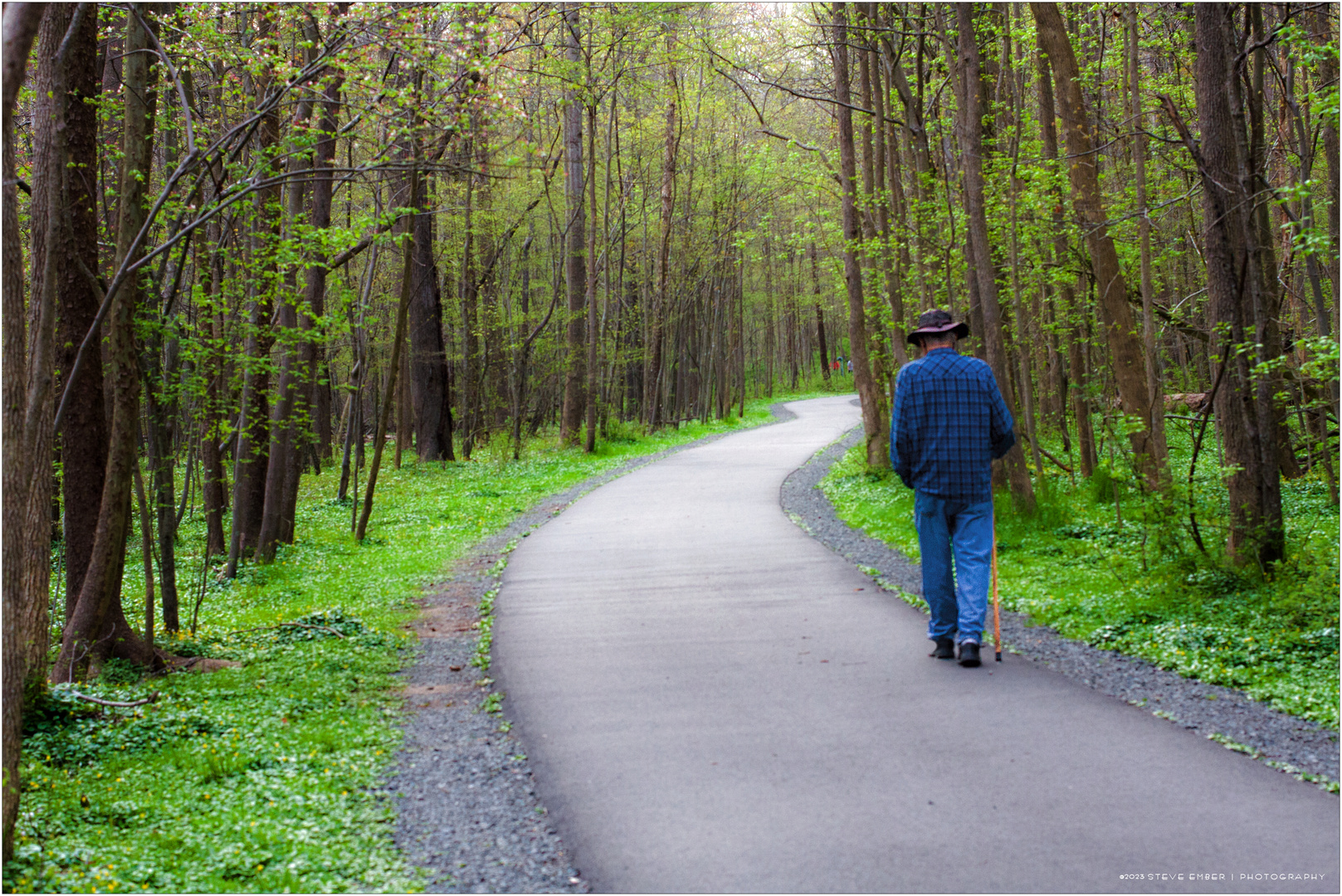 A Walk by the Wetlands