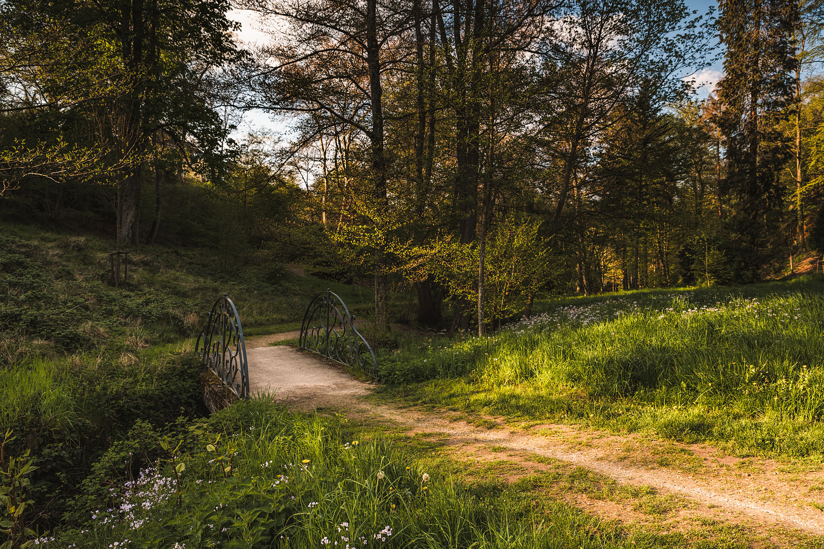 A walk in a park