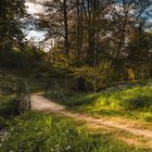 A walk in a park