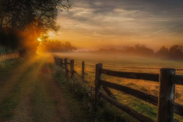 a walk in the countryside