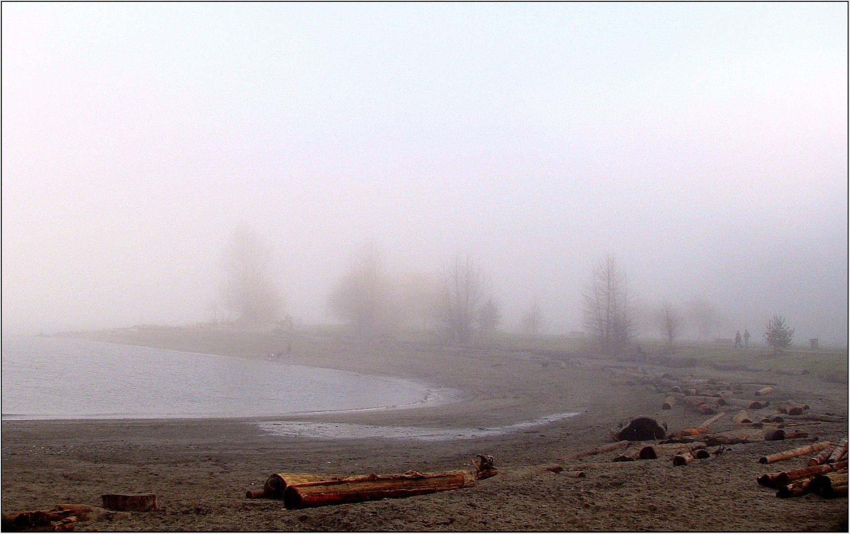 A Walk in the Fog