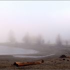 A Walk in the Fog