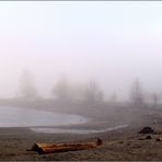 A Walk in the Fog