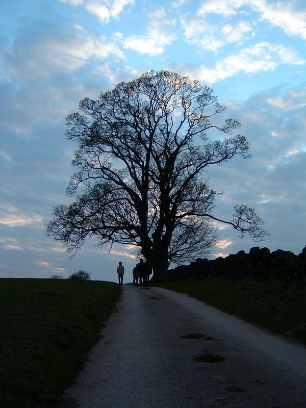 A Walk in the Midlands