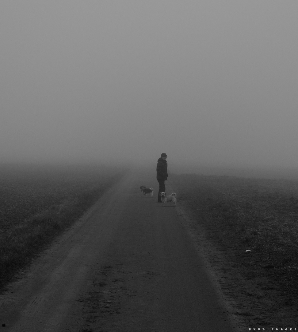 a walk in the Mist