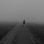 a walk in the Mist