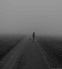 a walk in the Mist