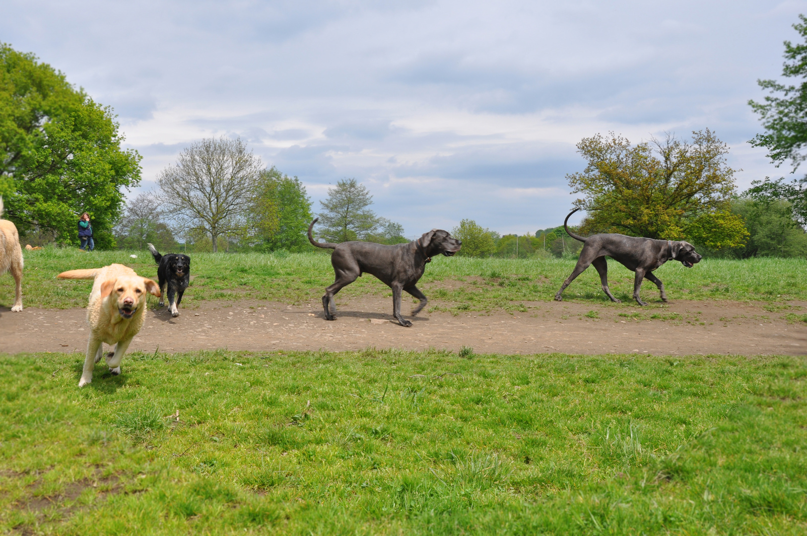 a walk in the park