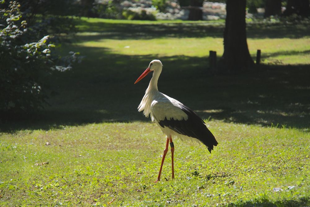 A walk in the park ...