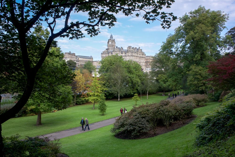 A Walk in The Park