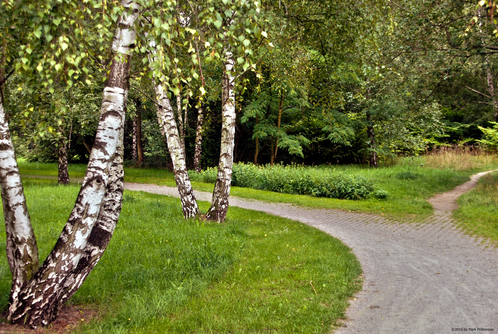 A Walk In The Park