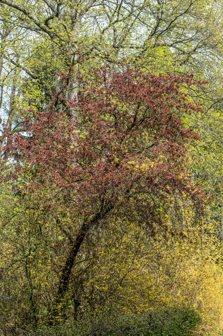 a walk in the park