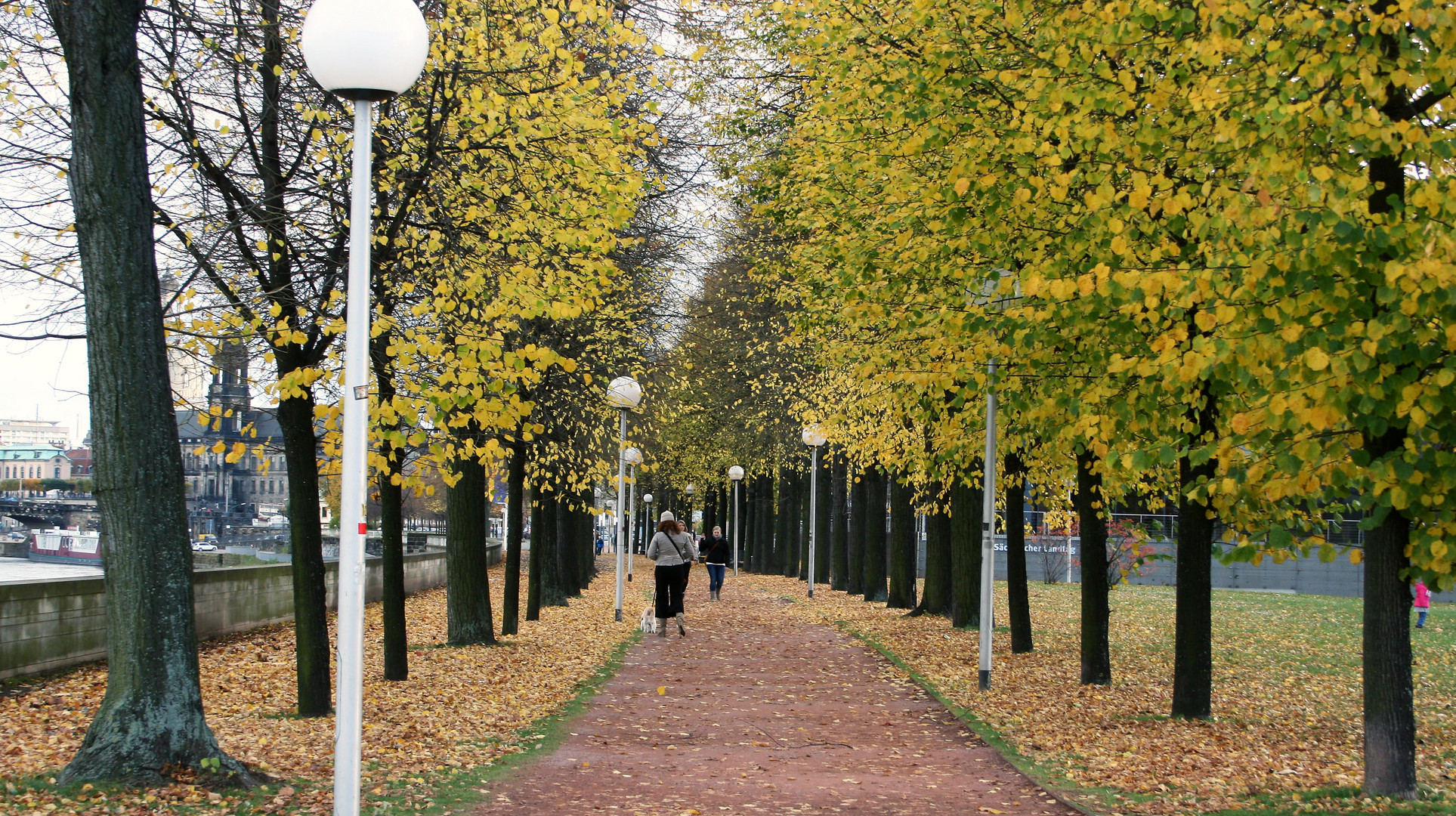 "A Walk In The Park"