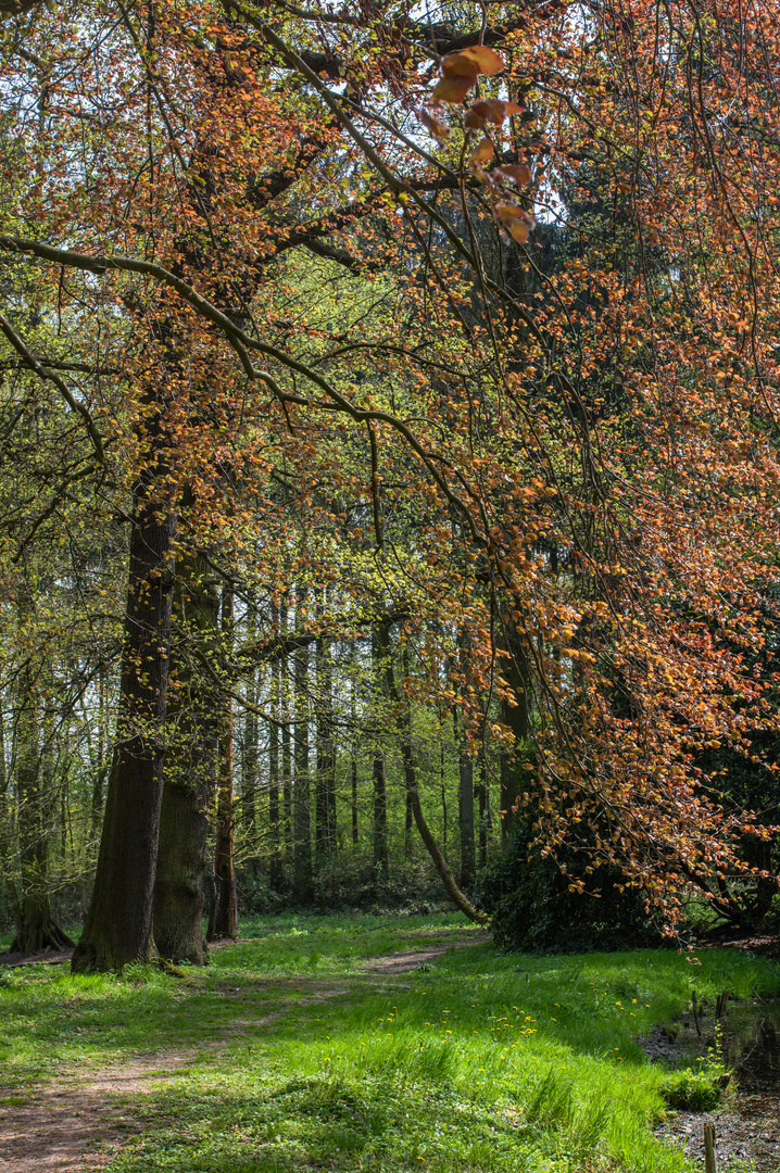 a walk in the park