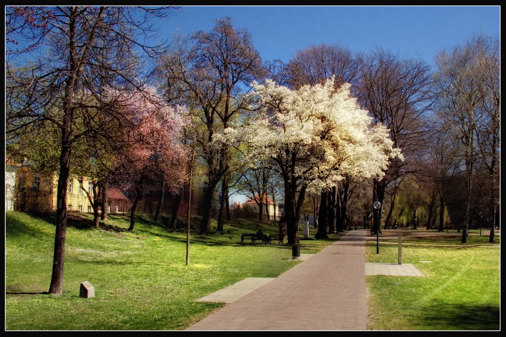 A Walk in the Park