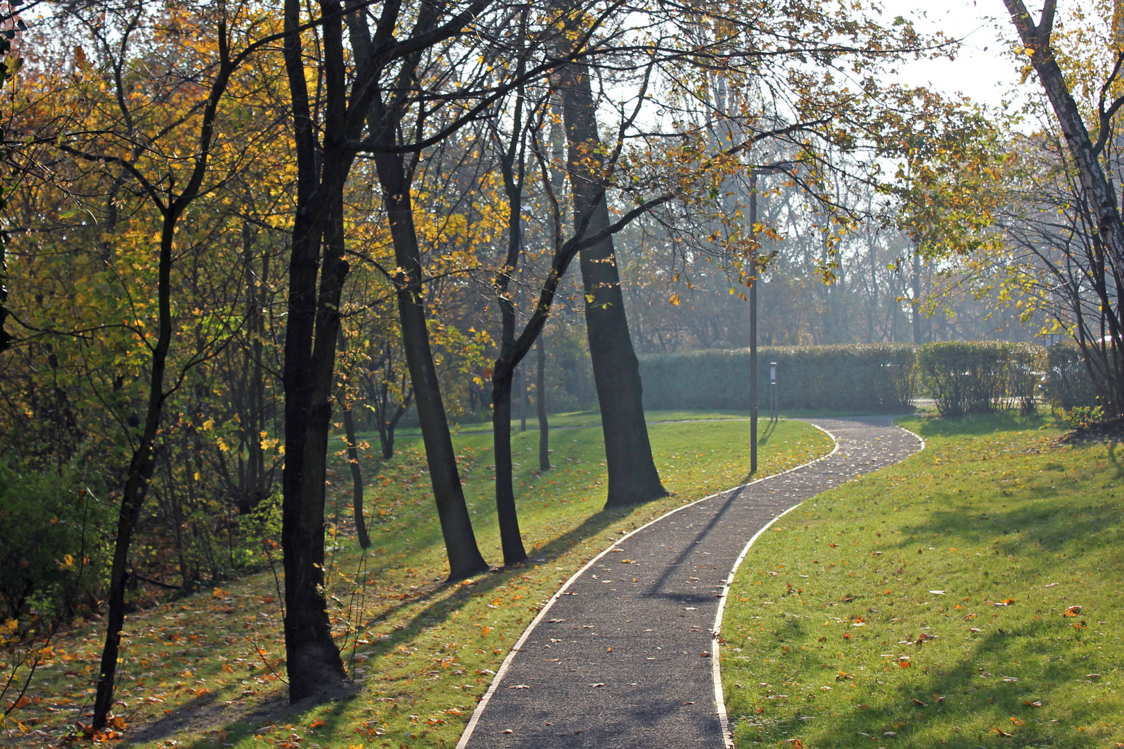 A Walk In The Park