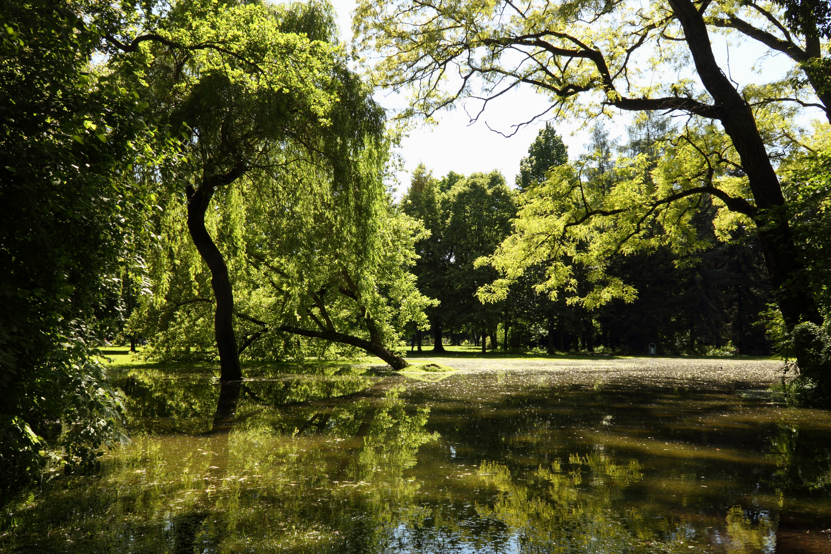 a walk in the park