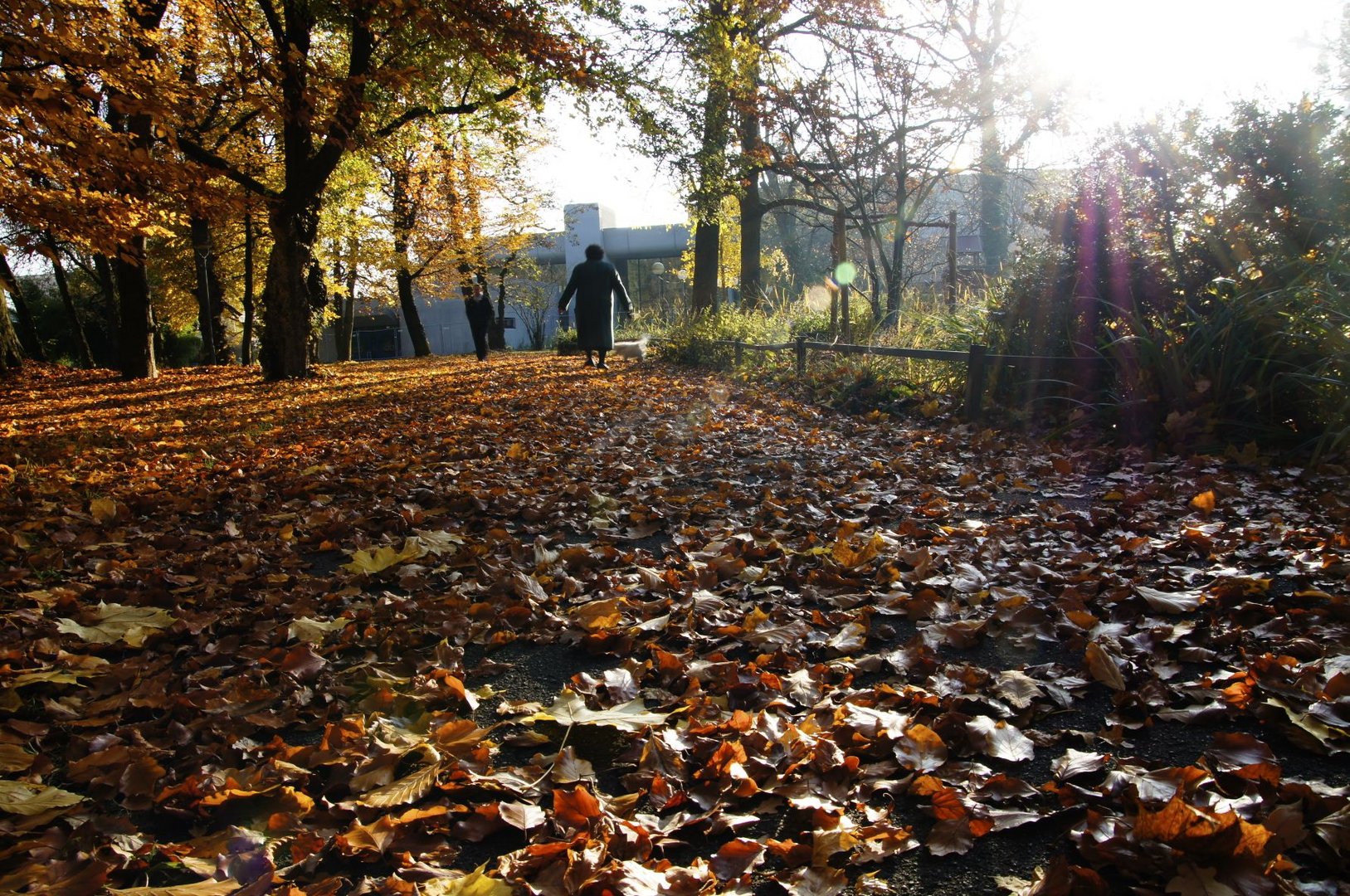 A Walk in the Park