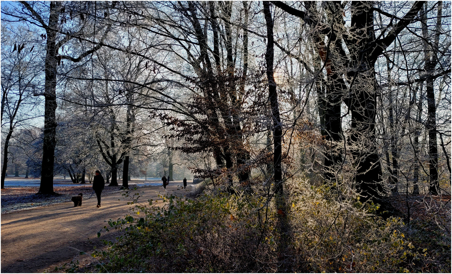 A Walk in the Park