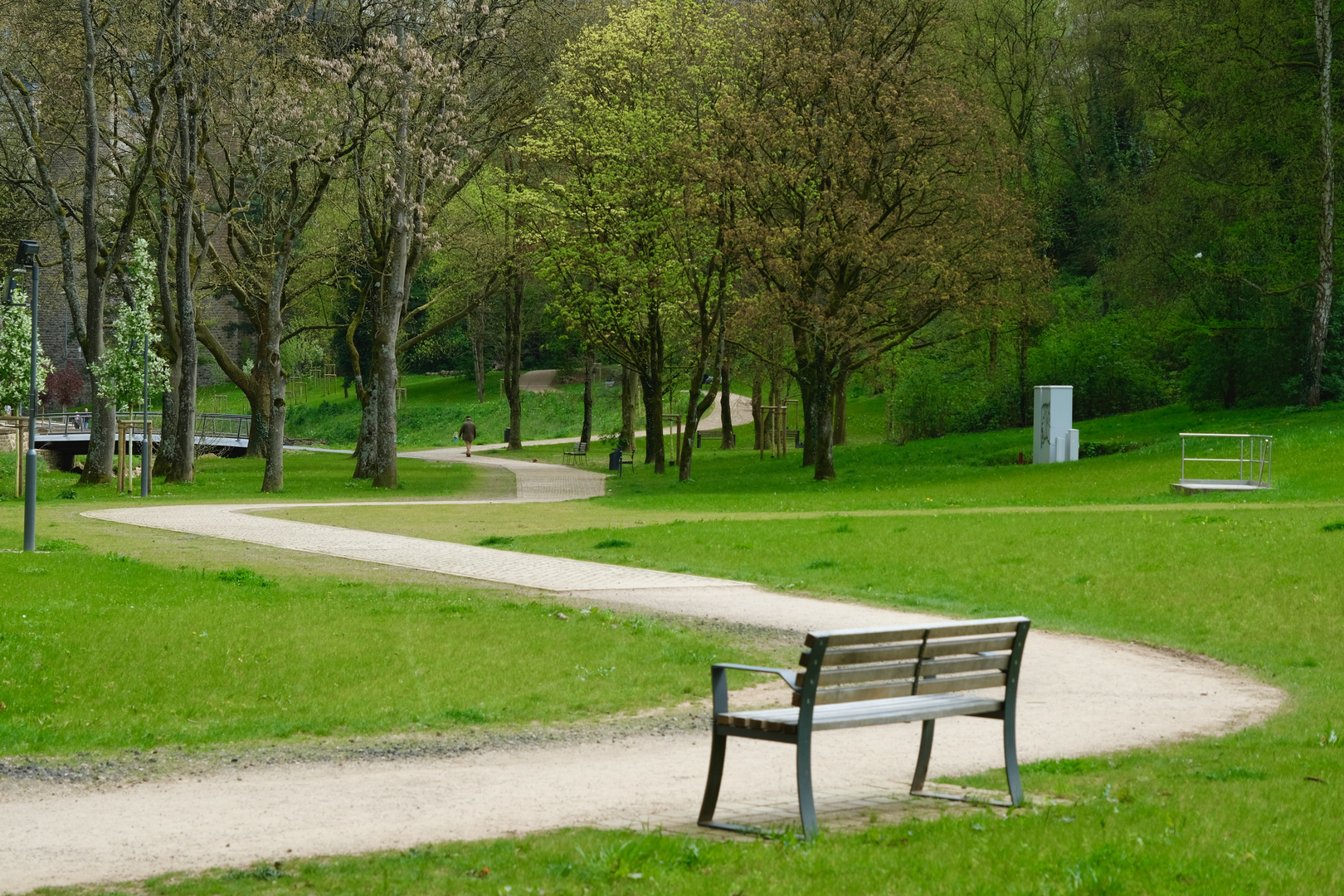 A walk in the Park