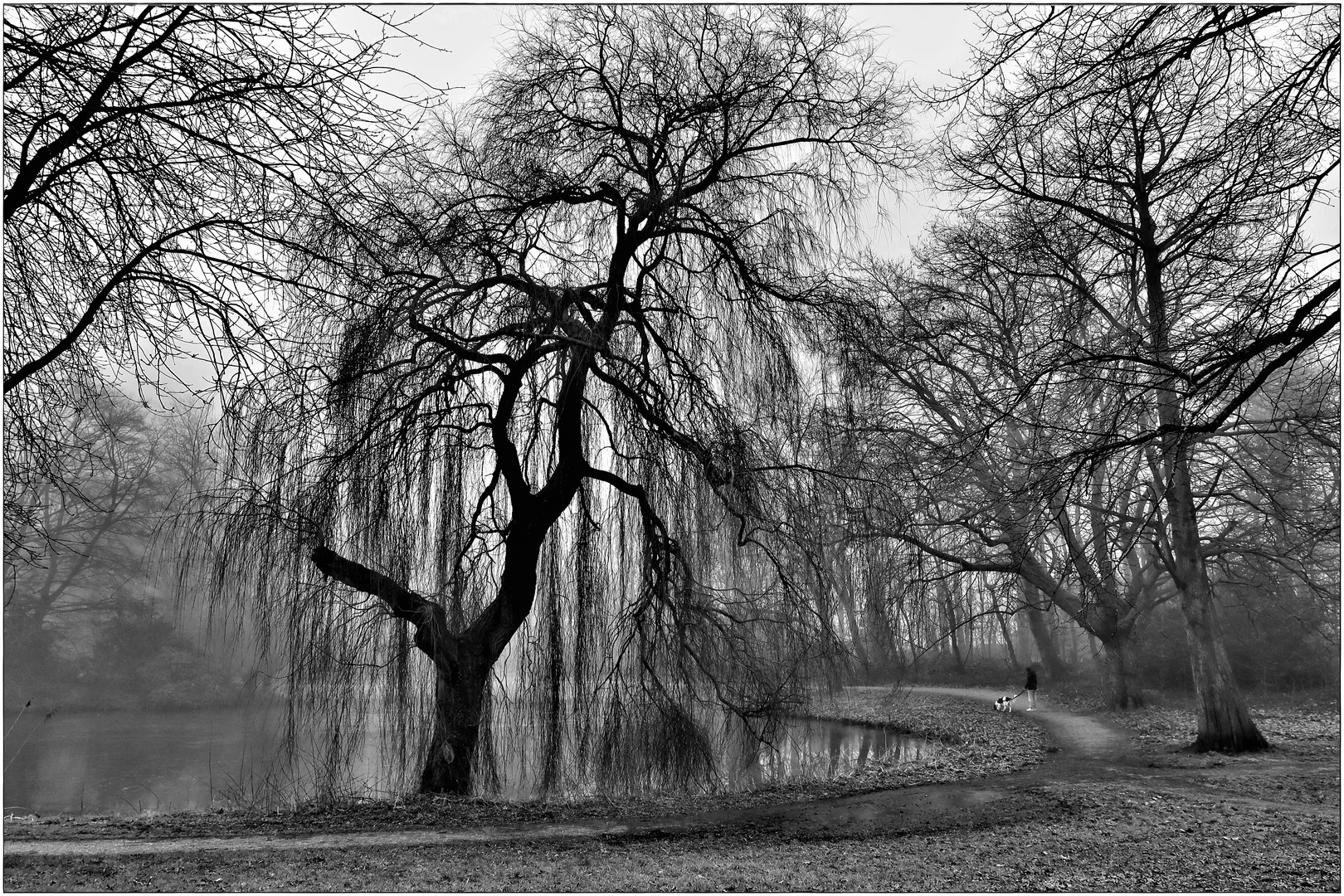 A Walk in the Park