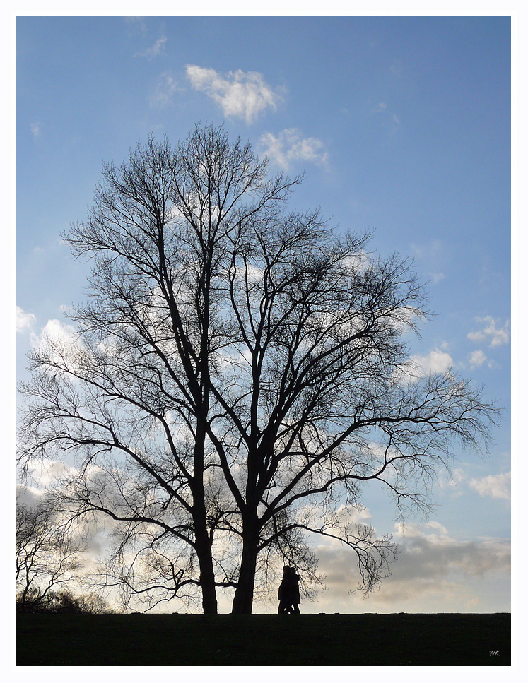 A Walk in the Park