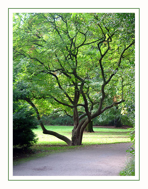 a walk in the park